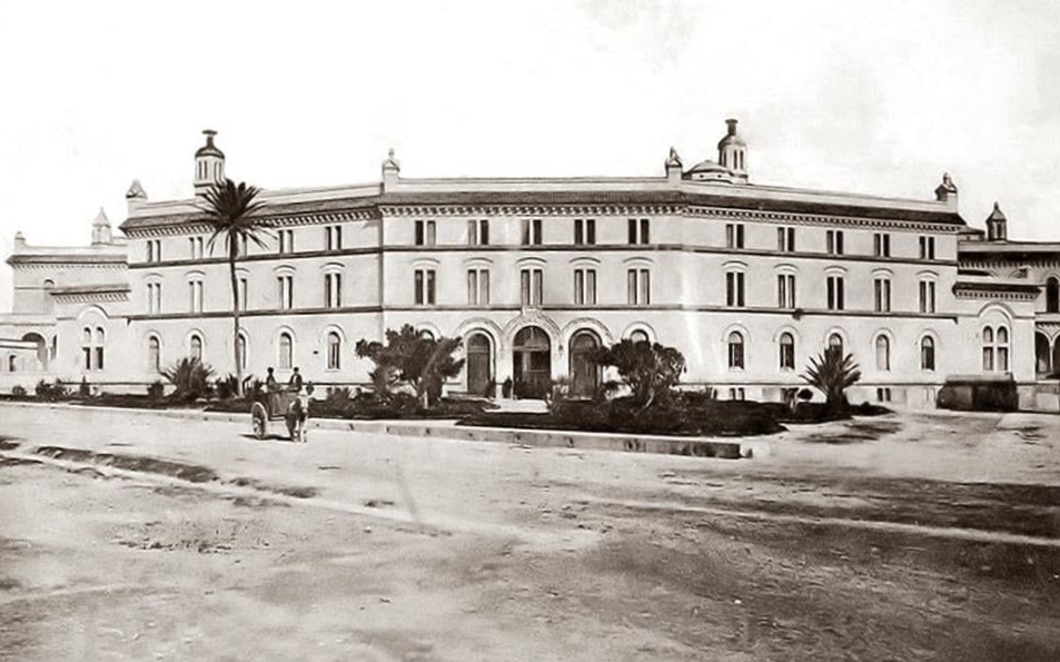 Ficus de Mora à Cadix en 1903