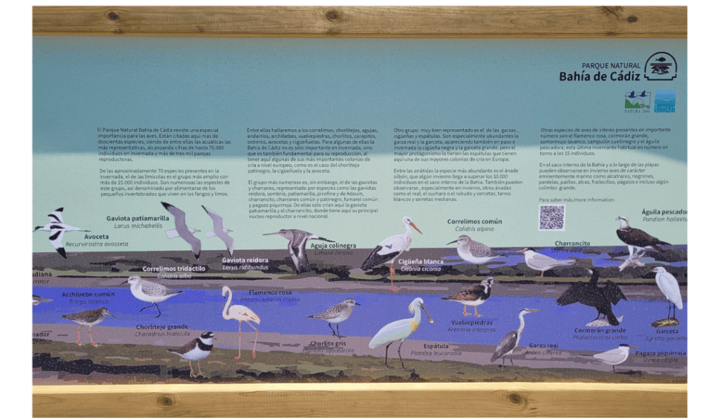 Panneau d'informations sur tous les oiseaux du Parc Naturel de la Baie de Cadix ©lasguiritanas
